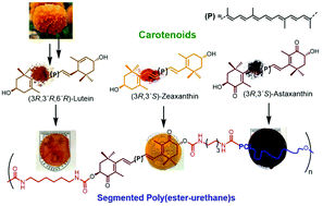 Graphical abstract: Synthesis and characterization of segmented poly(ester-urethane)s (PEUs) containing carotenoids
