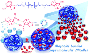 Graphical abstract: Multifunctional adenine-functionalized supramolecular micelles for highly selective and effective cancer chemotherapy