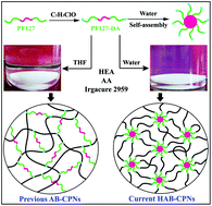 Graphical abstract: Shape memory hierarchical AB copolymer networks