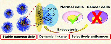Graphical abstract: Curcumin–polymer conjugates with dynamic boronic acid ester linkages for selective killing of cancer cells