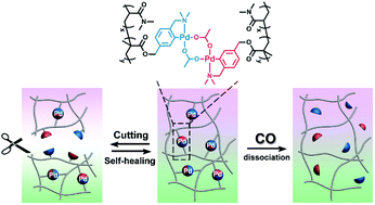 Graphical abstract: Palladium-bridged polymers as CO-biosignal-responsive self-healing hydrogels