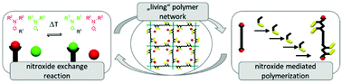 Graphical abstract: Dynamic covalent polymer networks via combined nitroxide exchange reaction and nitroxide mediated polymerization