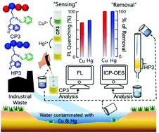 Graphical abstract: Multifunctional tryptophan-based fluorescent polymeric probes for sensing, bioimaging and removal of Cu2+ and Hg2+ ions