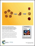 Graphical abstract: Back cover