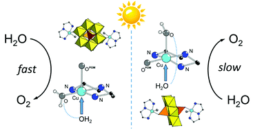 Graphical abstract: Copper-containing hybrid compounds based on extremely rare [V2Mo6O26]6– POM as water oxidation catalysts