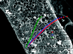 Graphical abstract: Low-cost ternary Ni–Fe–P catalysts supported on Ni foam for hydrolysis of ammonia borane