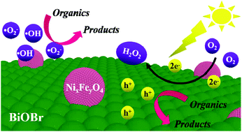 Graphical abstract: The construction of a Fenton system to achieve in situ H2O2 generation and decomposition for enhanced photocatalytic performance