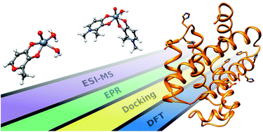 Graphical abstract: Integrated ESI-MS/EPR/computational characterization of the binding of metal species to proteins: vanadium drug–myoglobin application