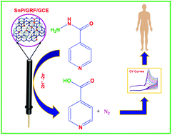 Graphical abstract: Synergistic design of a tin phosphate-entrapped graphene flake nanocomposite as an efficient catalyst for electrochemical determination of the antituberculosis drug isoniazid in biological samples