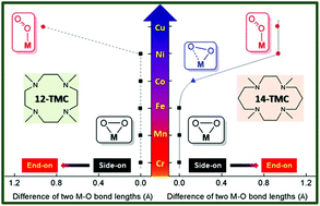 Graphical abstract: A theoretical investigation into the first-row transition metal–O2 adducts