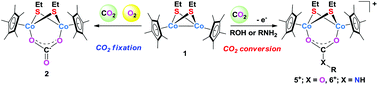 Graphical abstract: CO2 fixation and transformation on a thiolate-bridged dicobalt scaffold under oxidising conditions