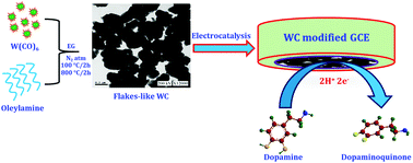 Graphical abstract: Facile, low-temperature synthesis of tungsten carbide (WC) flakes for the sensitive and selective electrocatalytic detection of dopamine in biological samples