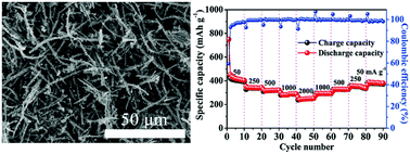 Graphical abstract: N, S co-doped porous carbon microtubes with high charge/discharge rates for sodium-ion batteries