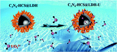 Graphical abstract: Retracted Article: A layered double hydroxide assembled on a g-C3N4-modified hollow carbon sphere as an adsorbent for the removal of uranium(vi)