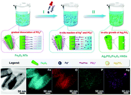 Graphical abstract: In situ epitaxial growth of Ag3PO4 quantum dots on hematite nanotubes for high photocatalytic activities