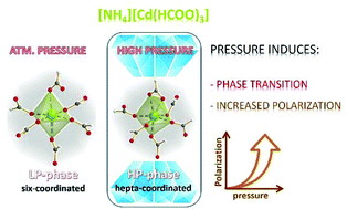 Graphical abstract: Pressure-induced reversible framework rearrangement and increased polarization in the polar [NH4][Cd(HCOO)3] hybrid perovskite