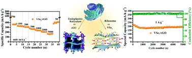Graphical abstract: A rough endoplasmic reticulum-like VSe2/rGO anode for superior sodium-ion capacitors