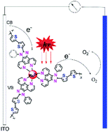 Graphical abstract: A 3D electropolymerized thin film based on a thiophene-functionalized Ru(ii) complex: electrochemical and photoelectrochemical insights