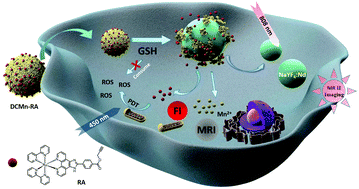 Graphical abstract: A redox-activated theranostic nanoplatform: toward glutathione-response imaging guided enhanced-photodynamic therapy