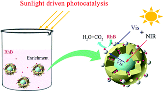 Graphical abstract: Decorating Ag3PO4 nanodots on mesoporous silica-functionalized NaYF4:Yb,Tm@NaLuF4 for efficient sunlight-driven photocatalysis: synergy of broad spectrum absorption and pollutant adsorption-enrichment