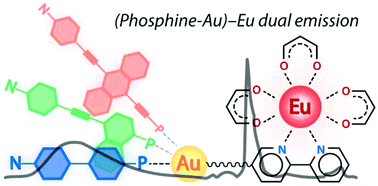 Graphical abstract: Solvatochromic dual luminescence of Eu–Au dyads decorated with chromophore phosphines