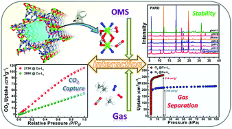 Graphical abstract: Three stable dinuclear [M2(OH)0.5(NO3)0.5(RCOO)2(RN)4] (M = Cu, Ni) based metal–organic frameworks with high CO2 adsorption and selective separation for O2/N2 and C3H8/CH4