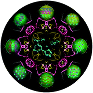 Graphical abstract: Eight Cd(ii) coordination polymers with persistent room-temperature phosphorescence: intriguing dual emission and time-resolved afterglow modulation