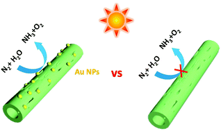 Graphical abstract: Au nanocrystals decorated TiO2 nanotubes for photocatalytic nitrogen fixation into ammonia