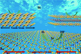 Graphical abstract: Applying surface strain and coupling with pure or N/B-doped graphene to successfully achieve high HER catalytic activity in 2D layered SnP3-based nanomaterials: a first-principles investigation