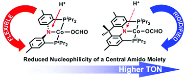 Graphical abstract: Catalytic hydrogenation of CO2 at a structurally rigidified cobalt center