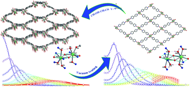 Graphical abstract: Regulating the structural dimensionality and dynamic properties of a porous dysprosium coordination polymer through solvent molecules