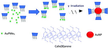 Graphical abstract: Synthesis and NMR study of trimethylphosphine gold(i)-appended calix[8]arenes as precursors of gold nanoparticles