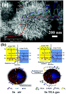 Graphical abstract: An α-Fe2O3/NiO p–n hierarchical heterojunction for the sensitive detection of triethylamine