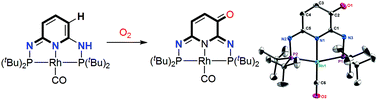 Graphical abstract: Ligand-centered reactivity of a pseudo-dearomatized phosphorus-nitrogen PN3P* rhodium complex towards molecular oxygen at room temperature