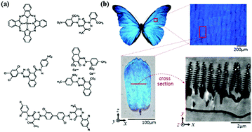 Graphical abstract: Structural colors in metasurfaces: principle, design and applications