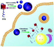 Graphical abstract: Pillar[5]arene pseudo[1]rotaxane-based redox-responsive supramolecular vesicles for controlled drug release