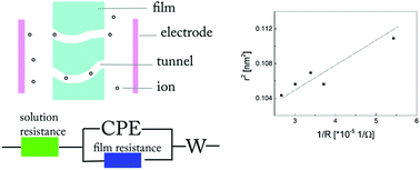 Graphical abstract: Correlation between the ion permeation and free volume property in ethyl cellulose film during the acid treatment