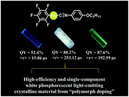 Graphical abstract: Single-component gold(i)-containing highly white-emissive crystals based on a polymorph doping strategy