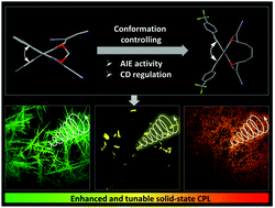 Graphical abstract: Regulation of circular dichroism behavior and construction of tunable solid-state circularly polarized luminescence based on BINOL derivatives