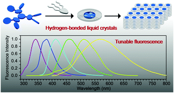 Graphical abstract: Fluorophore core-engineered supramolecular discotic columnar liquid crystals with tunable fluorescent behavior