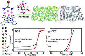 Graphical abstract: Ultrafine NiCoP-decorated N,S,P-codoped hierarchical porous carbon nanosheets as an efficient bifunctional electrocatalyst for oxygen reduction and oxygen evolution