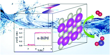 Graphical abstract: Topological metal and noncentrosymmetric superconductor α-BiPd as an efficient candidate for the hydrogen evolution reaction