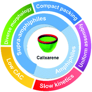 Graphical abstract: Assembling features of calixarene-based amphiphiles and supra-amphiphiles