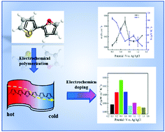 Graphical abstract: Electrochemical doping engineering tuning of the thermoelectric performance of a π-conjugated free-standing poly(thiophene-furan) thin-film