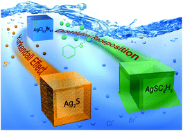 Graphical abstract: Anion replacement in silver chlorobromide nanocubes: two distinct hollowing mechanisms