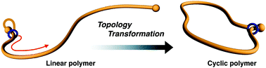 Graphical abstract: Synthesis of a cyclic poly(methyl acrylate) via topological transformation of a [1]rotaxane