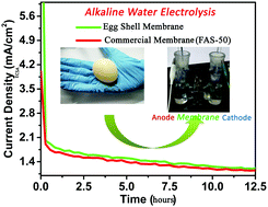 Graphical abstract: Eggshell membrane-based water electrolysis cells