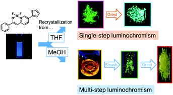 Graphical abstract: Design for multi-step mechanochromic luminescence property by enhancement of environmental sensitivity in a solid-state emissive boron complex