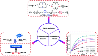 Graphical abstract: Facile synthesis of a well-defined heteroatom-containing main chain polycarbonate for activated intracellular drug release