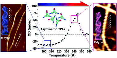 Graphical abstract: Temperature-controlled helical inversion of asymmetric triphenylamine-based supramolecular polymers; difference of handedness at the micro- and macroscopic levels